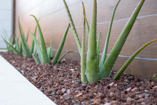 Exclusieve eerstelijns golfvilla’s in Orihuela